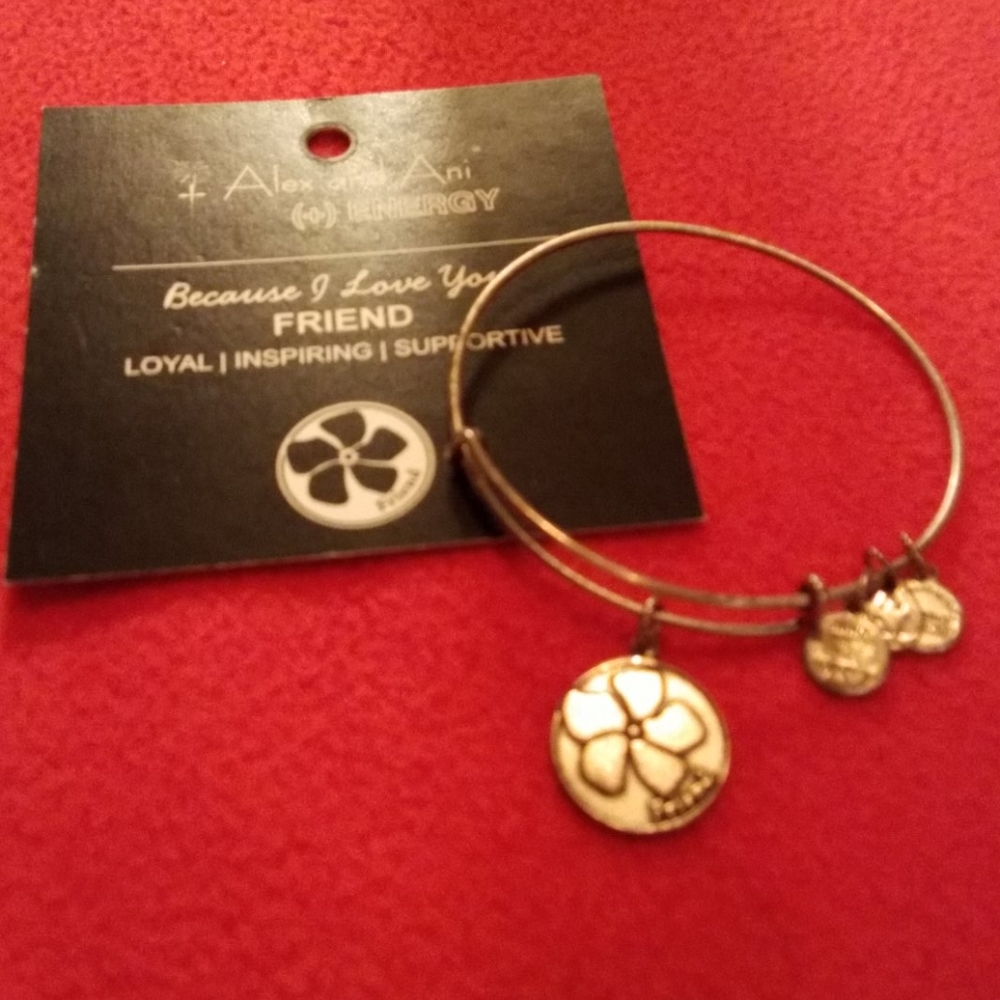 Alex and Ani Friend Bracelet